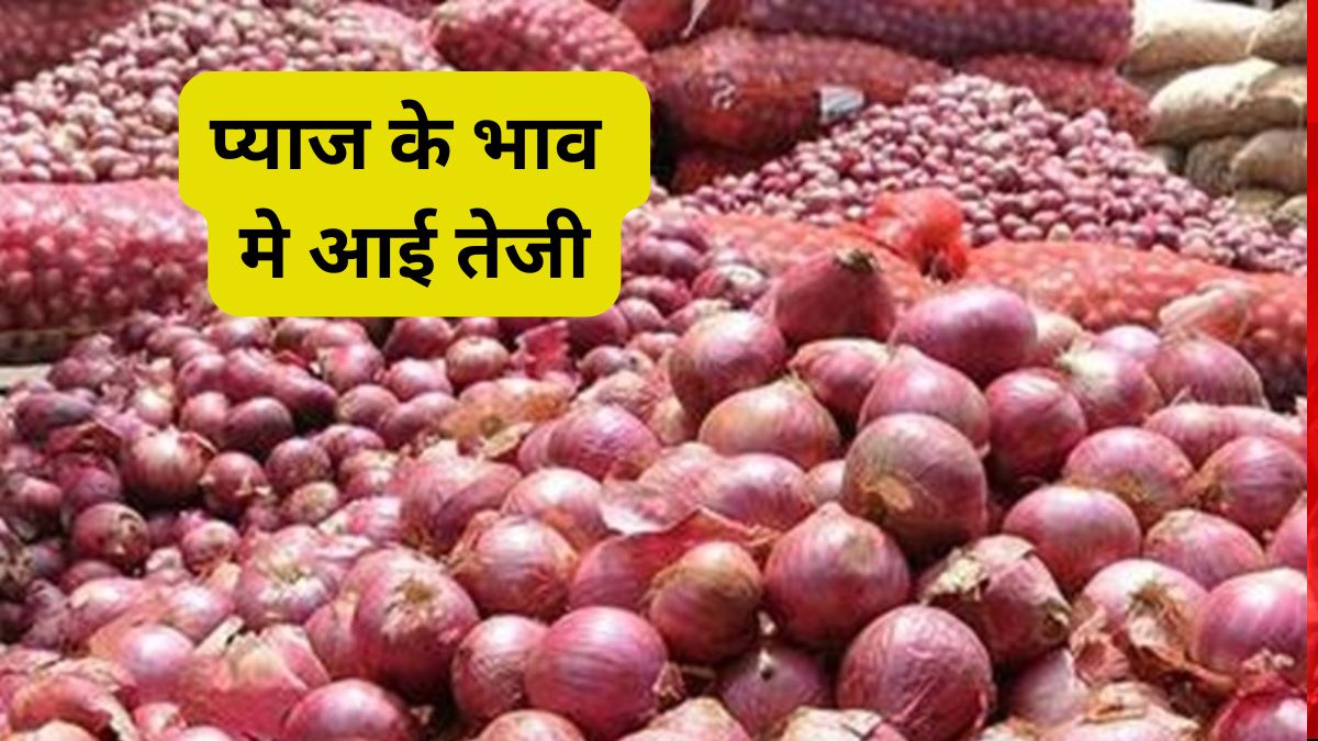Pyaj Mandi Bhav